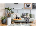 Бытовые осушители воздуха ROYAL CLIMA CARISMA Loft RD-CR20-E 3414 - фото 14040 Бытовые осушители воздуха ROYAL CLIMA CARISMA Loft RD-CR20-E 3414 - фото 14040